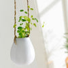 AIBEI-ZAKKA Ceramic White Hanging Flower Pot