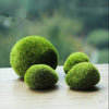 Green Artificial Moss Stones Grass Bryophytes