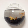 Glass Fighting Fish Tank for Home Decor