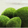 Green Artificial Moss Stones Grass