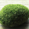 Green Artificial Moss Stones Grass