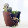 Succulent Plants Pot Microlandschaft Personalized