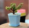 Korean Wholesale Flower Pots